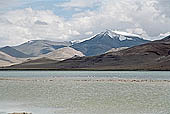 Ladakh - Tso-Kar lake 